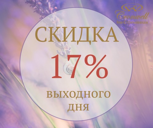 Скидка выходного дня 17%